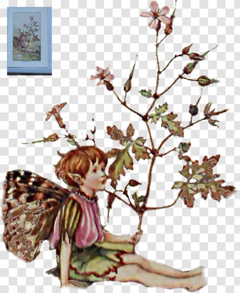 Fairy The Book Of Flower Fairies Wayside Cottingley - Branch - Scatters Flowers Transparent PNG