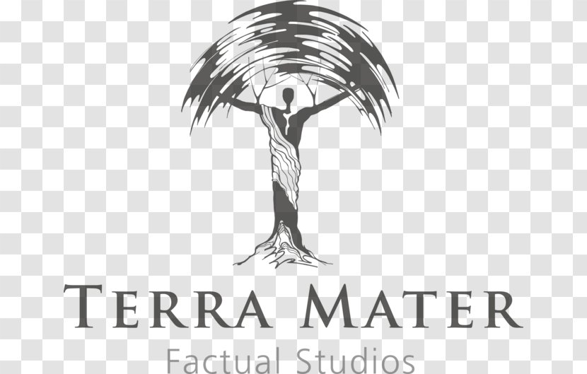 Terra Mater Factual Studios Gmbh Film Producer Nature Actor - Logo - Red Bull Cliff Diving Transparent PNG