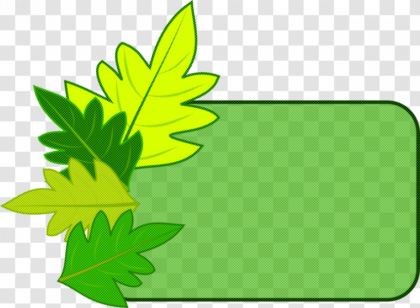 Leaf Green Yellow Plant Tree Transparent PNG
