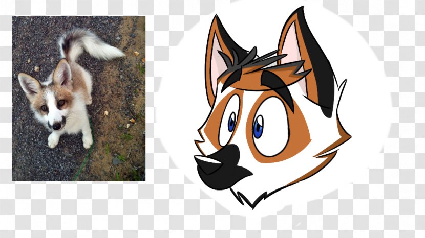 Whiskers Dog Red Fox Cat - Like Mammal Transparent PNG