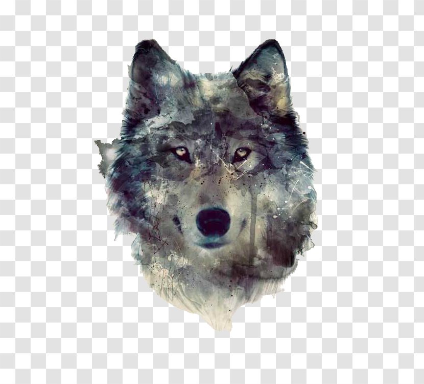 Wolf Drawing - Red - Tshirt Canis Lupus Tundrarum Transparent PNG