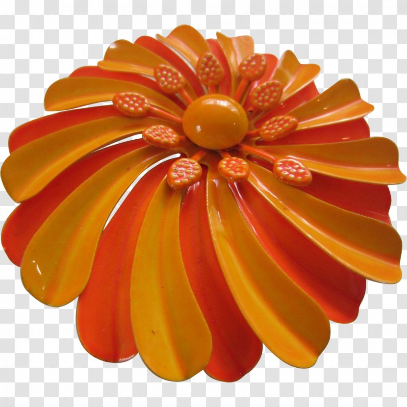 Cut Flowers Transvaal Daisy Family Petal - Tangerine Transparent PNG