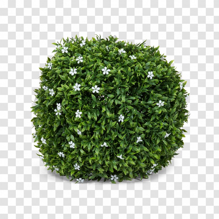 3D Computer Graphics Modeling Shrub TurboSquid - Wavefront Obj File - Trifolium Transparent PNG