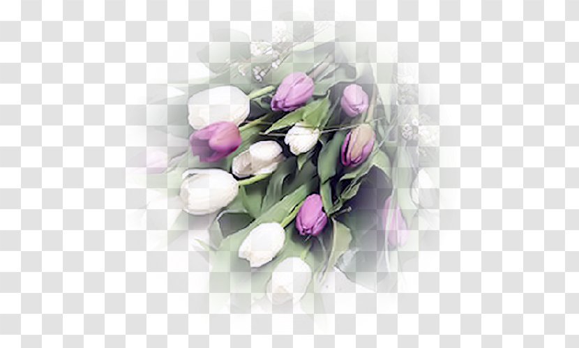 Cut Flowers Flower Bouquet Lady Tulip - Flowering Plant Transparent PNG