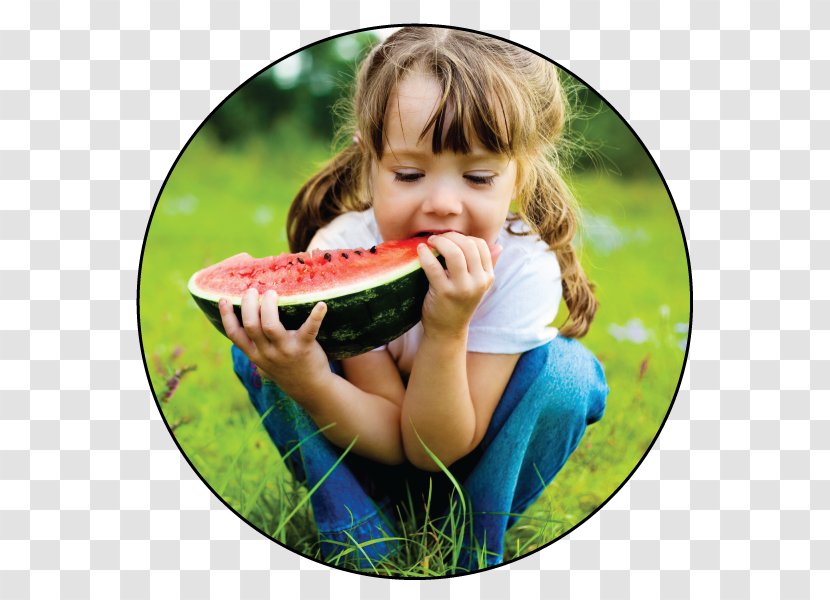 Child Care Barbecue Babysitting Health - Toddler Transparent PNG