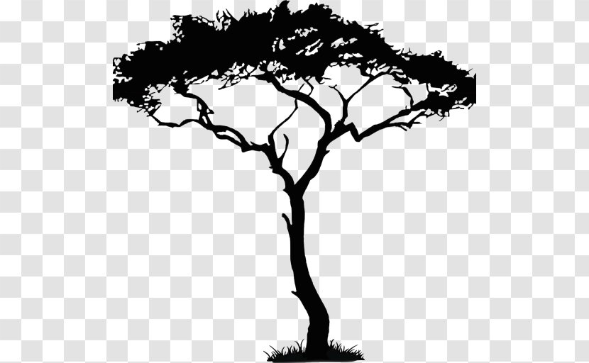Drawing Tree Art Clip - African Transparent PNG