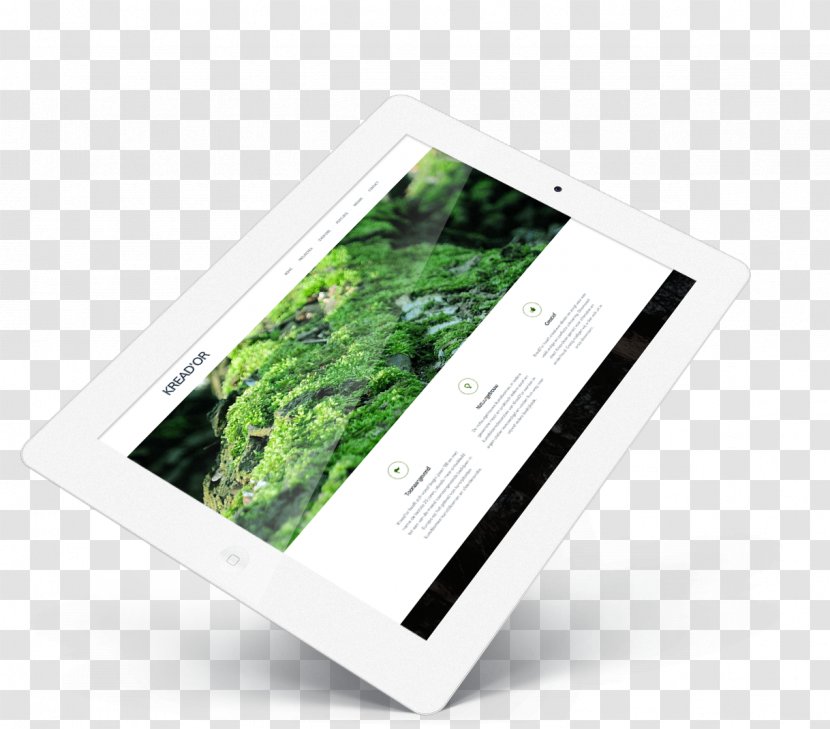 Product Design Brand Multimedia - Ipad White Transparent PNG