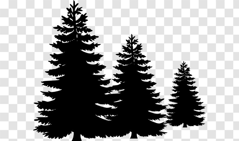 Pine Tree Clip Art - Silhouette - Fir-Tree Pic Transparent PNG