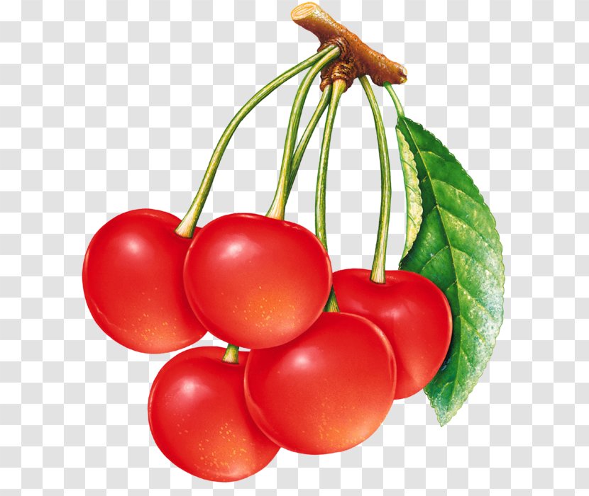 National Cherry Festival Bing Barbados Sour Transparent PNG