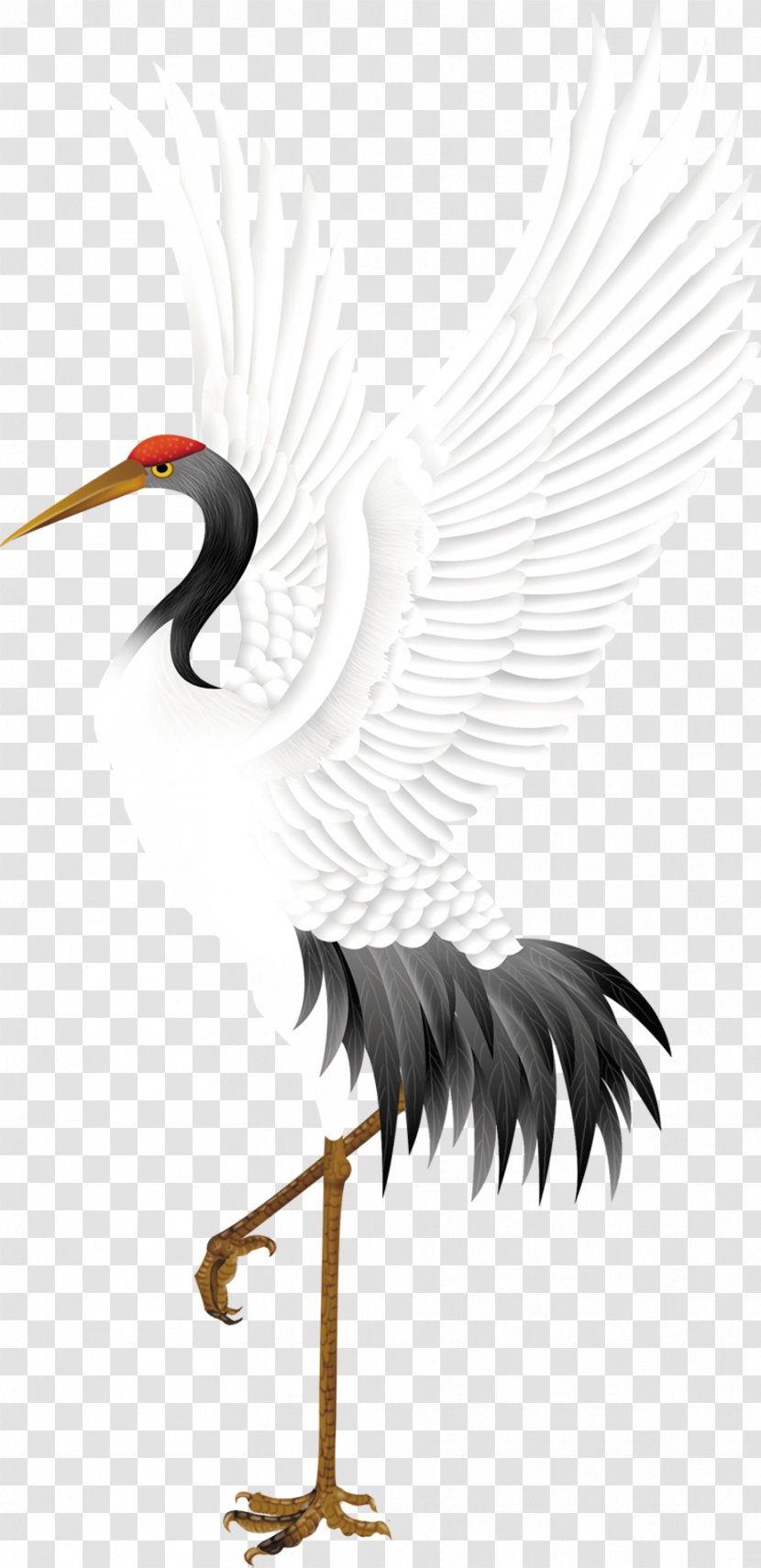 Red-crowned Crane Bird Stork - Siberian - Wings Of The Transparent PNG