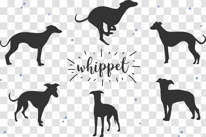 Whippet Greyhound Dog Breed Silhouette - Black Transparent PNG