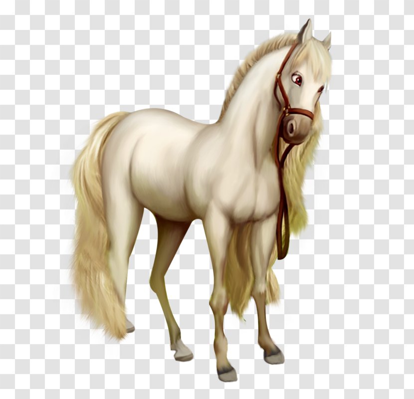 Morgan Horse Shetland Pony Mustang American Saddlebred Clip Art - Horn Transparent PNG