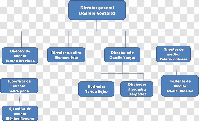 Organizational Chart Boutique Communication Diagram - Leprechaun Transparent PNG