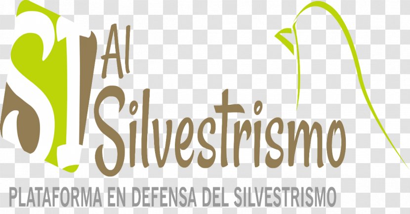 Logo Brand Font Product Design Text - Spanish Language Transparent PNG