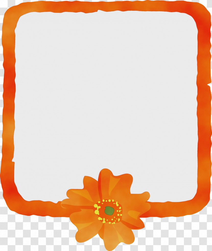 Picture Frame Transparent PNG