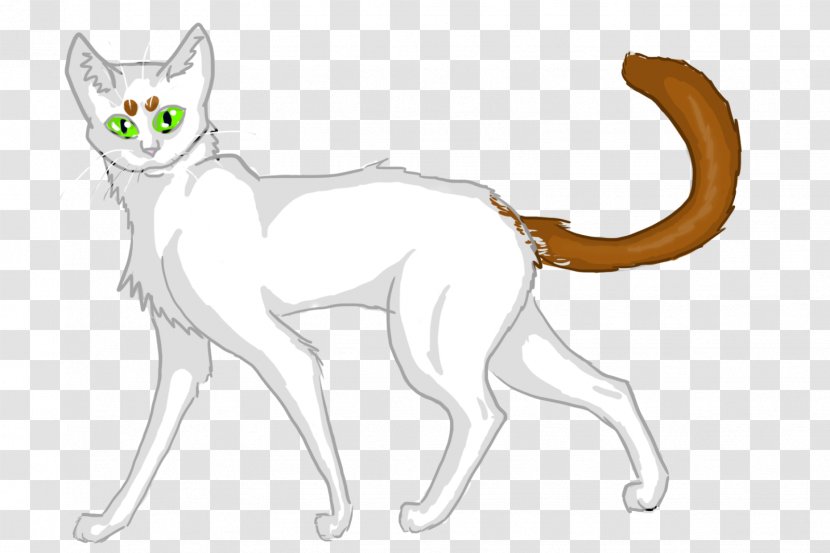 Whiskers Red Fox Cat Dog Clip Art - Mammal Transparent PNG