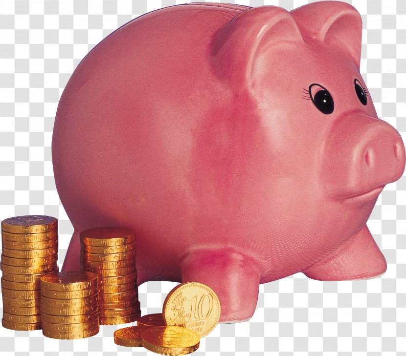 Domestic Pig Piggy Bank Money Coin - Saving Transparent PNG