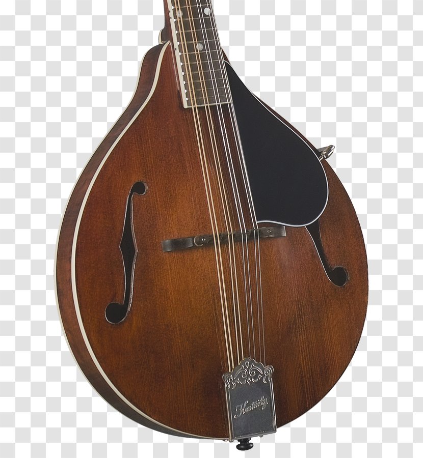 Mandolin Bass Violin Acoustic Guitar Musical Instruments Cuatro - Cartoon Transparent PNG