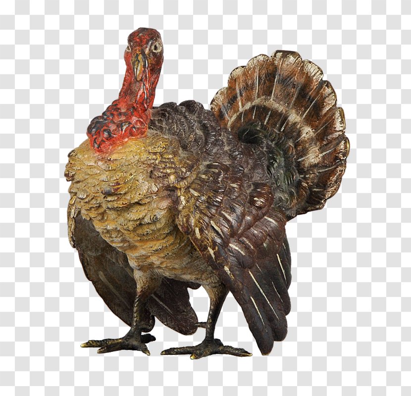 Meleagrididae Fauna Beak Domestication Domesticated Turkey - Galliformes - Bohemian Border Transparent PNG