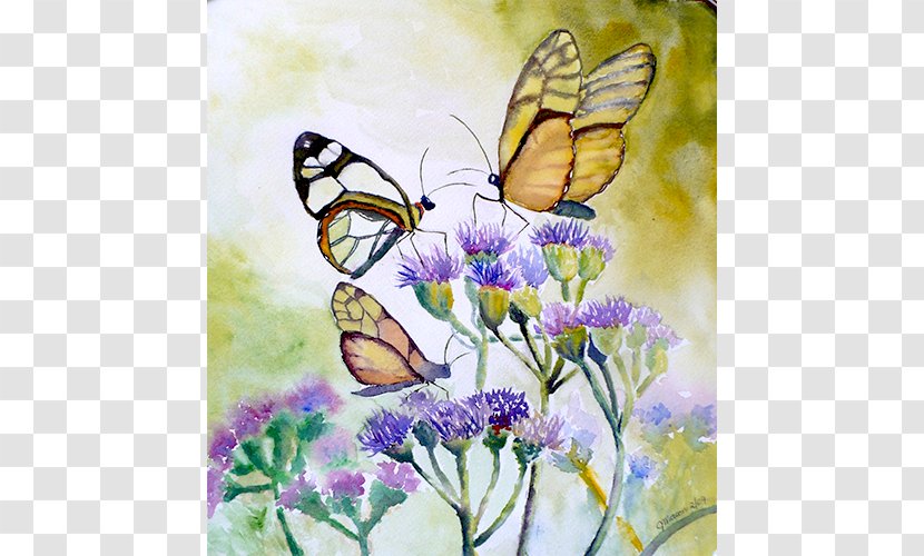 Monarch Butterfly Watercolor Painting Insect Transparent PNG
