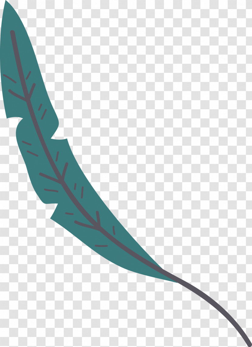 Feather Transparent PNG