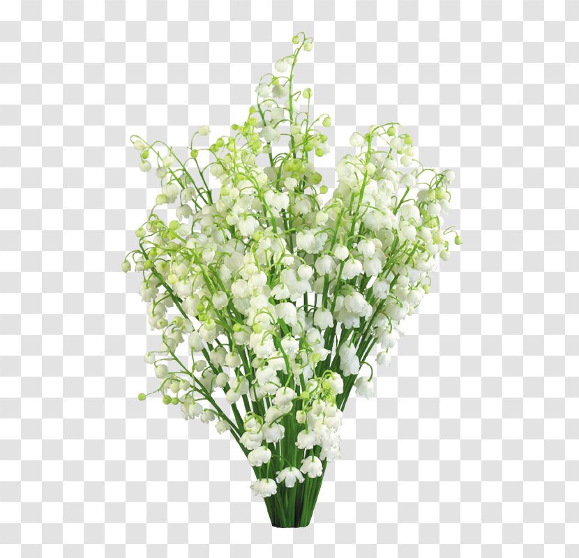 Lily Of The Valley Lilium Flower Stock Photography - Flowerpot Transparent PNG