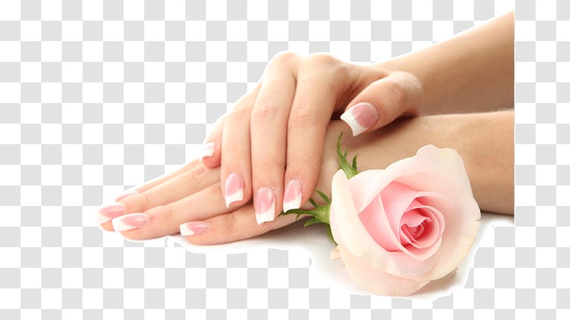 Manicure Orchid NAILS & SPA Pedicure Nail Salon - Hand Transparent PNG