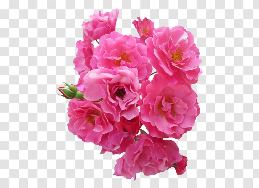 Rose Pink Flowers Flower Bouquet Transparent PNG
