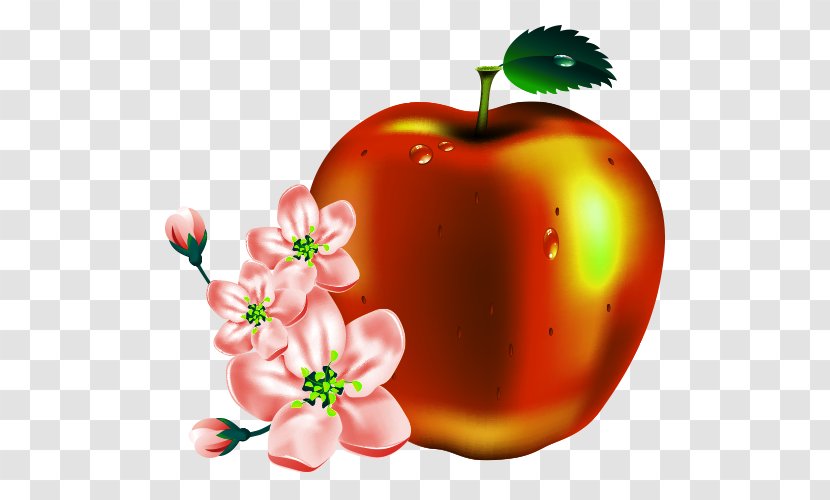 Apple Fruit Clip Art - Cartoon Apples Transparent PNG