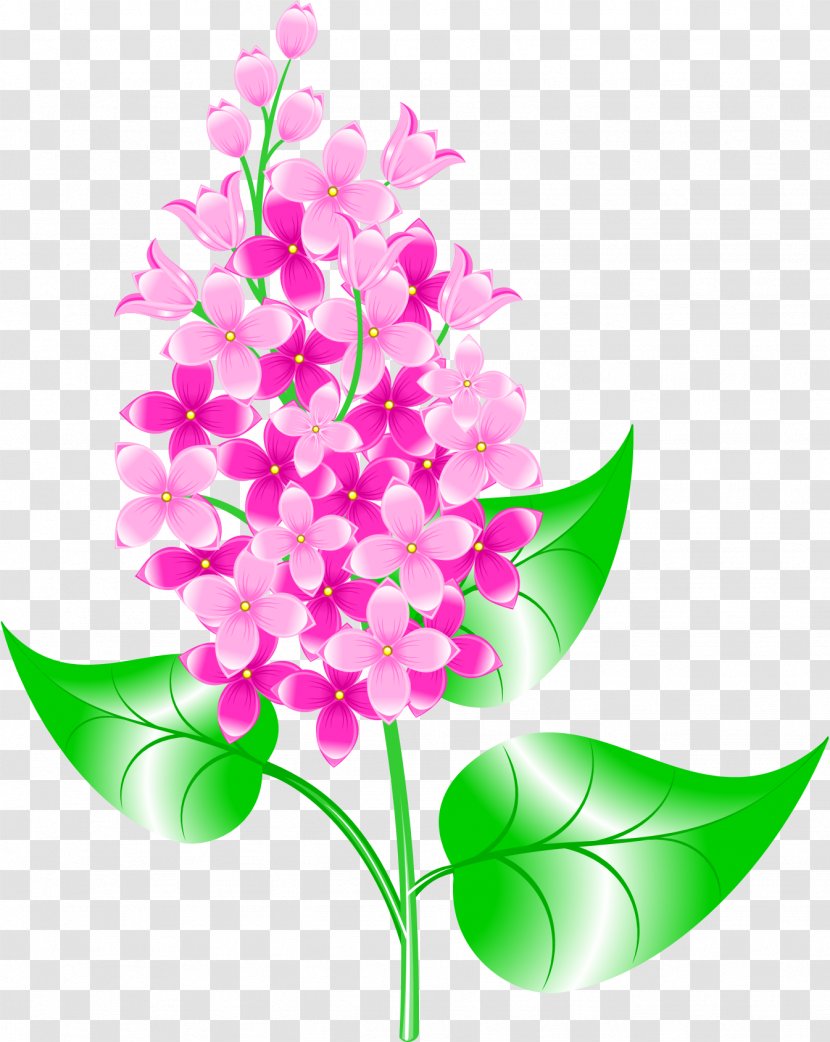 Floral Design Chemistry Chemical Property Presentation Interactivity - Education - Osmanthus Branch Transparent PNG