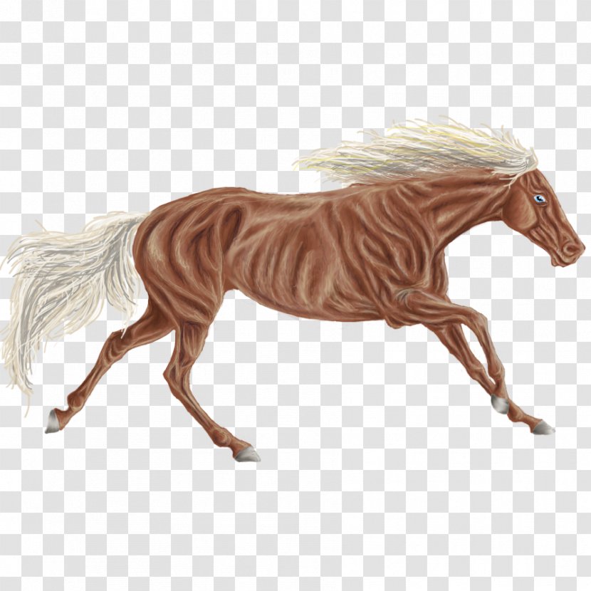 Mane Mustang Pony Rein Mare - Stallion Transparent PNG
