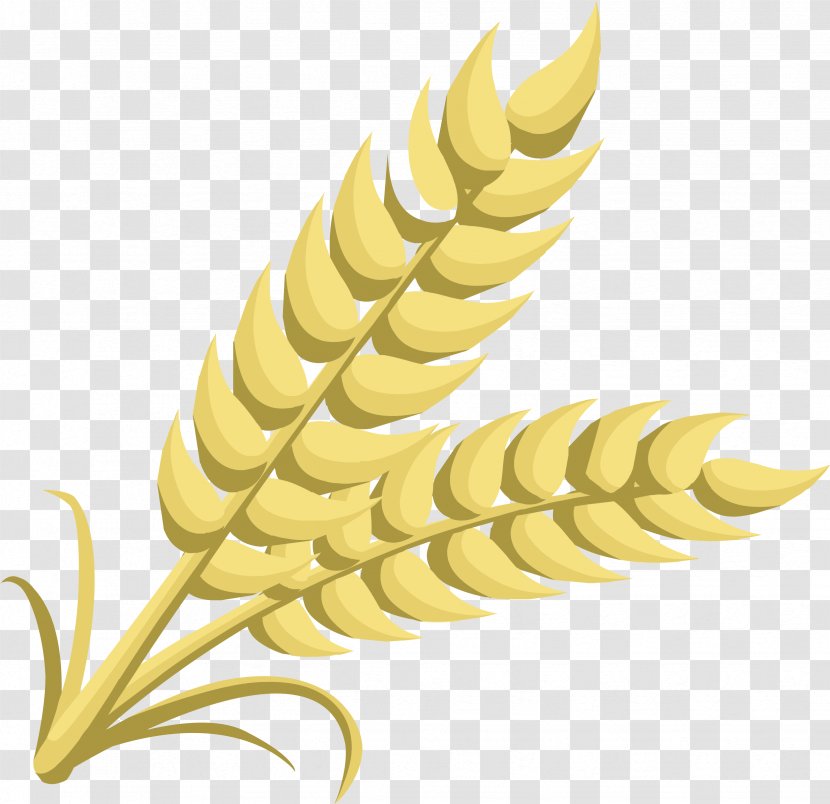 Wheat Cereal Ear Clip Art - Rye - Grain Cliparts Transparent PNG