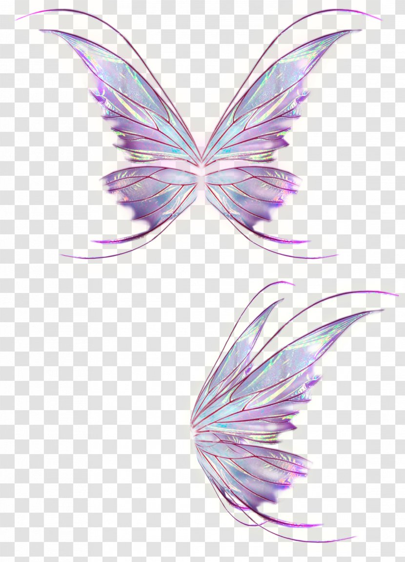 Wing - Pollinator - Fairy Transparent PNG