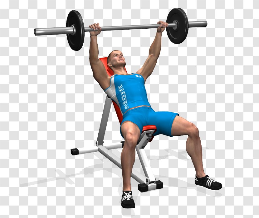 Bench Press Barbell Triceps Brachii Muscle Exercise - Silhouette Transparent PNG