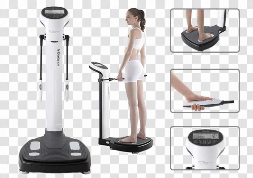 Body Composition InBody Bioelectrical Impedance Analysis Adipose Tissue Health - Arm Transparent PNG