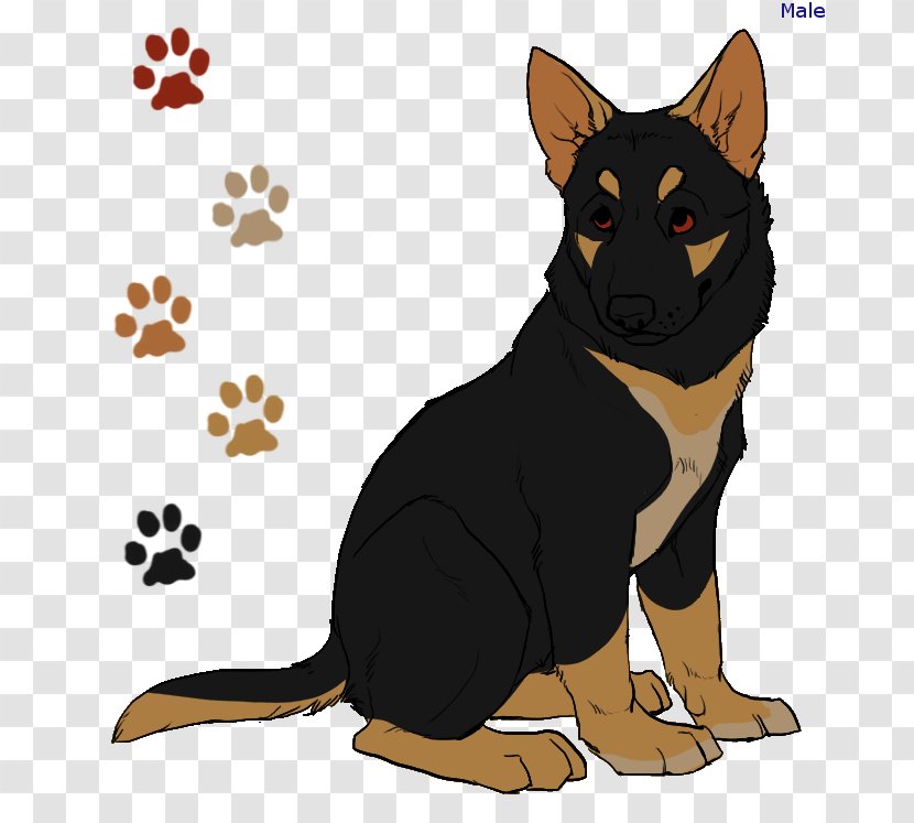 German Shepherd Australian Kelpie Dog Breed Razas Nativas Vulnerables Paw - Vulnerable Native Breeds - Macbeth Paintings Transparent PNG