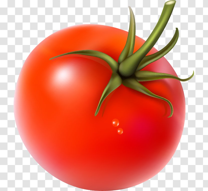 Cherry Tomato Vegetarian Cuisine Vegetable - Diet Food Transparent PNG