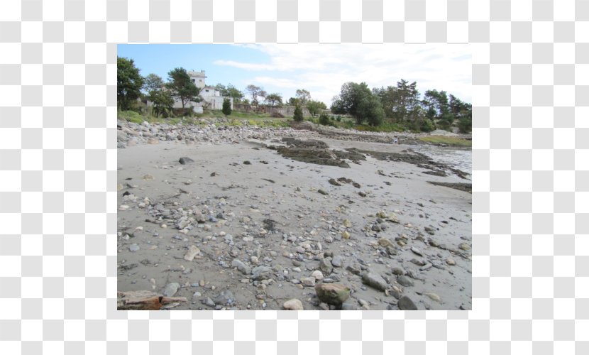 Shore Plant Community Soil Land Lot - Landscape - Water Resources Transparent PNG