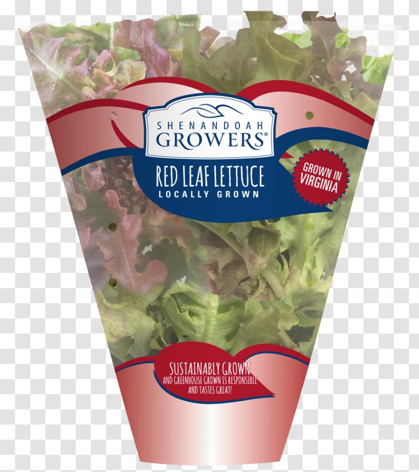 Leaf Vegetable Lettuce Crisp Salad Shenandoah Growers Inc. - Thyme Transparent PNG