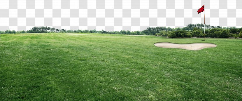 Golf Course Sports Venue Transparent PNG