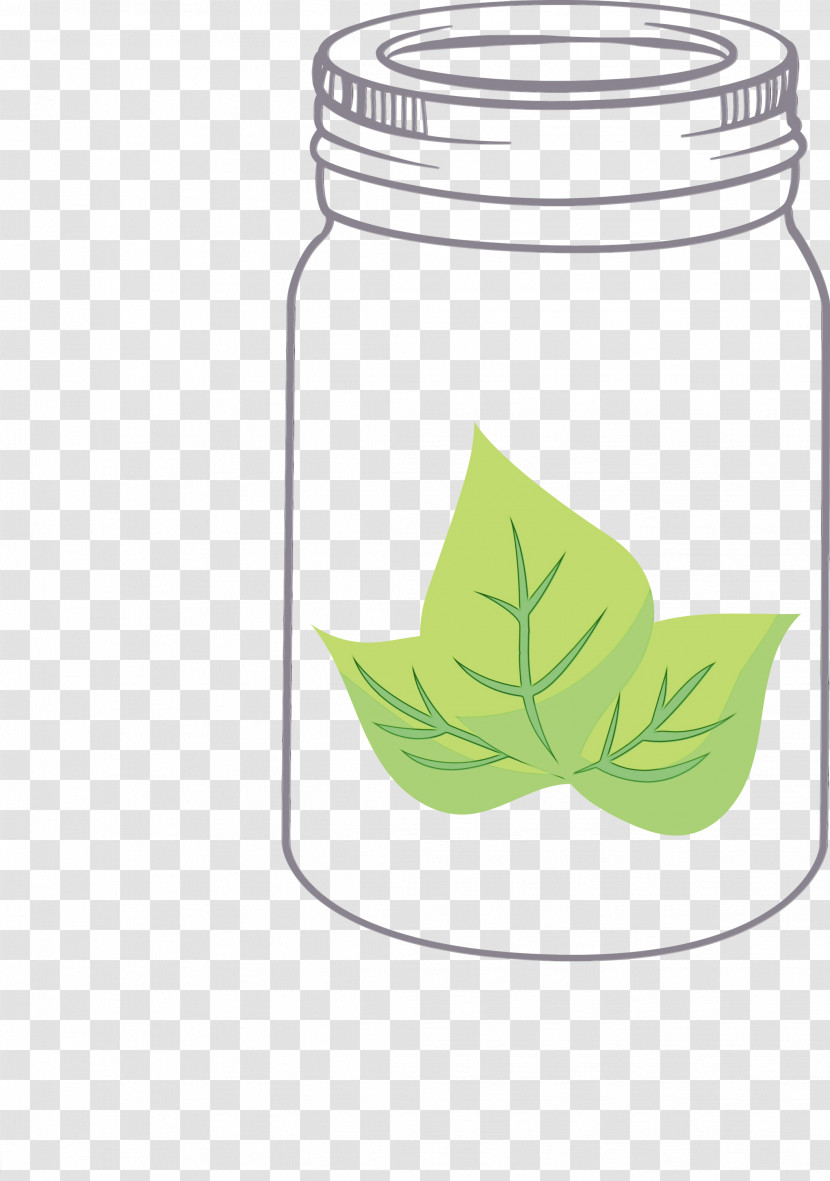 Leaf Green Tree Plants Plant Structure Transparent PNG