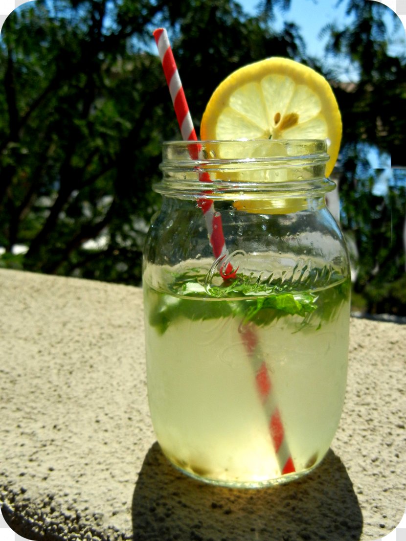 Mojito Mint Julep Limeade Cocktail Garnish Lemonade Transparent PNG