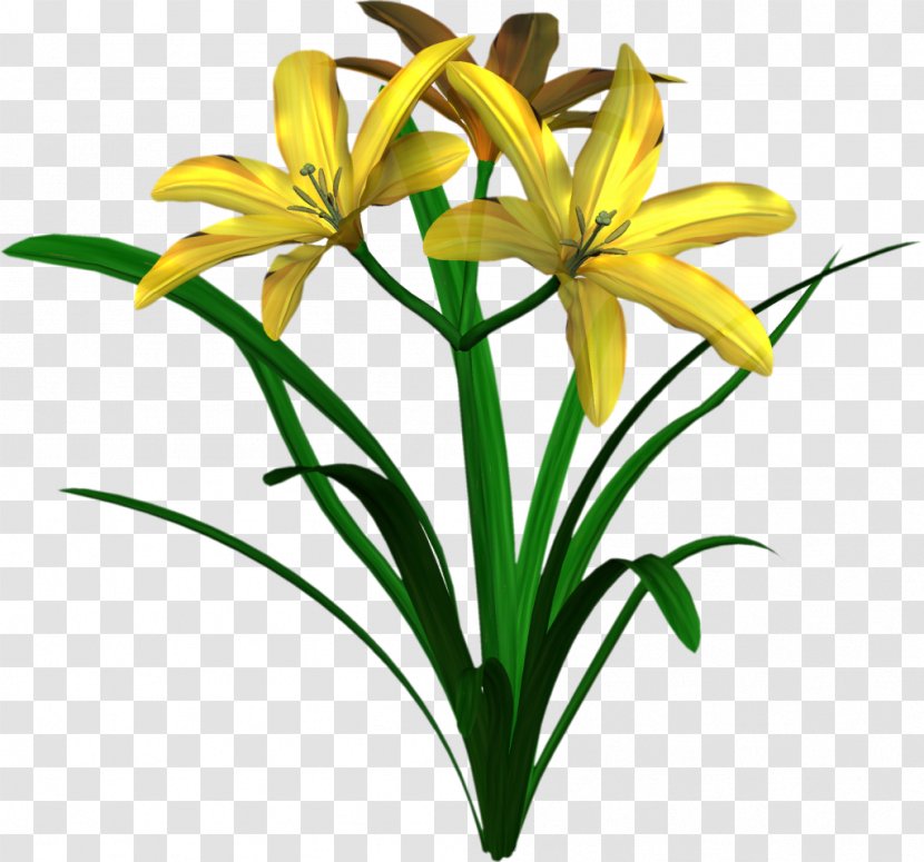 Flower Tree Clip Art - Daylily Transparent PNG