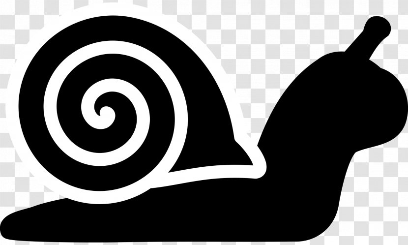 Snail Mail Innovation Clip Art - Animal - Snails Transparent PNG