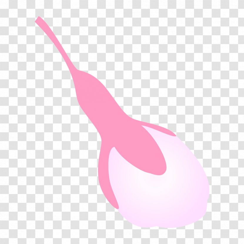 Pink Plant Magenta Clip Art Logo - Tail Transparent PNG