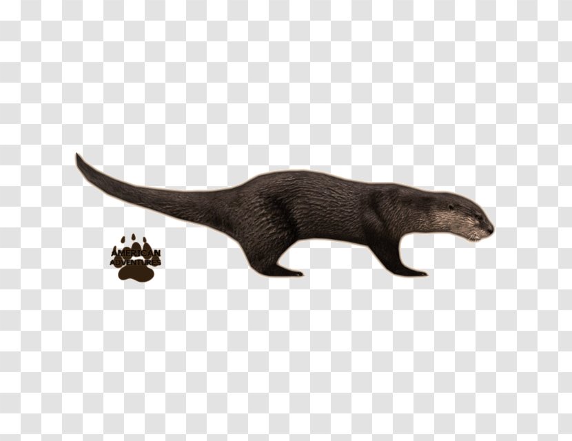 Zoo Tycoon 2 Sea Otter - Mustelidae Transparent PNG