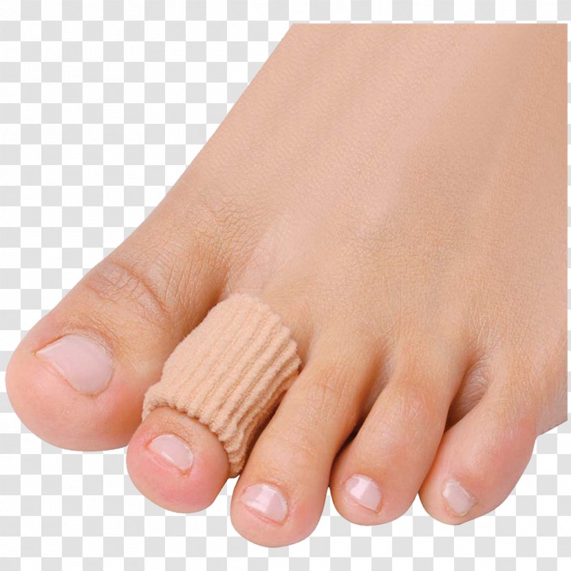 Foot Corn Hammer Toe Digit - Silhouette Transparent PNG