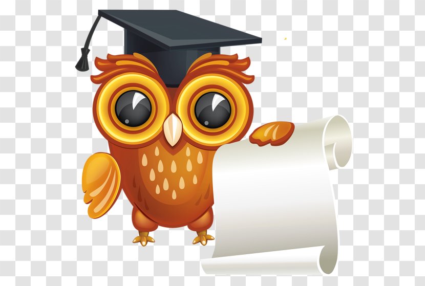 Diploma Bachelors Degree Graduation Ceremony Clip Art - Dr. Owl Transparent PNG