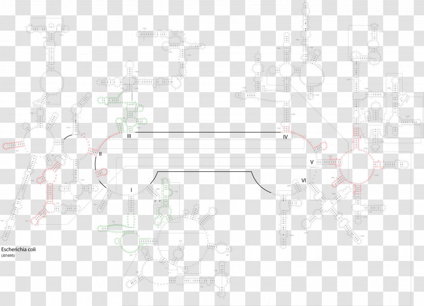 Product Design Line Pattern - Tuberculosis Transparent PNG