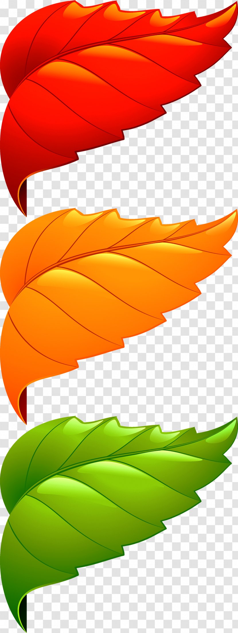Maple Leaf Adobe Illustrator - Orange - Corner Decorative Leaves Transparent PNG